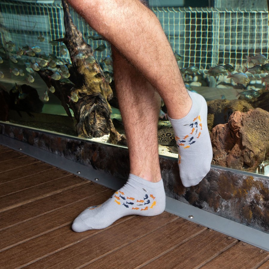 Online Les Poissons Multicolores Homme